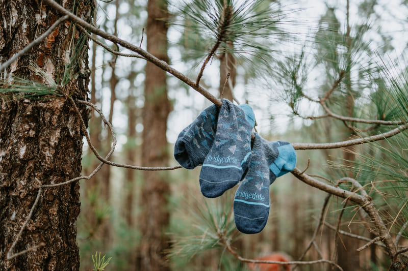 ponožky Bridgedale na větvi